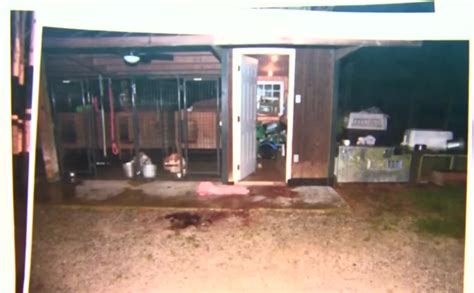 maggie murdaugh crime scene photos|Inside gruesome Murdaugh family murder scene pics after。